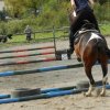 Babie Lato 2016
